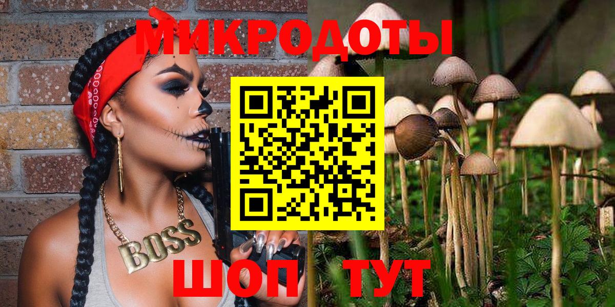 закладки  Вход с VPN  Севастополь  Галлюциногенные грибы Psilocybine cubensis 