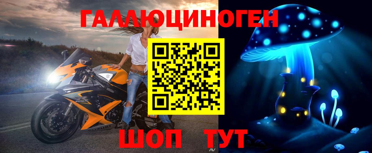 Псилоцибиновые грибы Psilocybine cubensis Севастополь